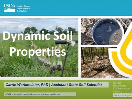 Dynamic Soil Properties & Why They Matter
