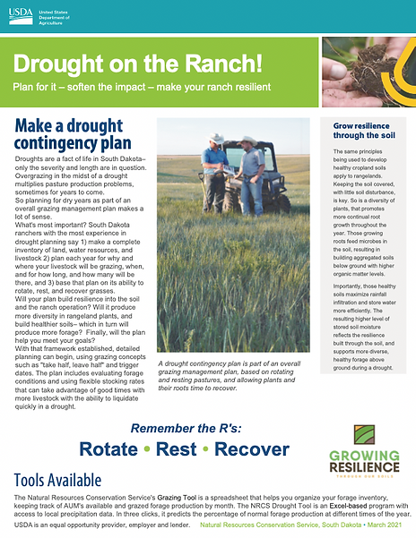 Screen Shot 2022-05-09 at 10.32.41 AM.png