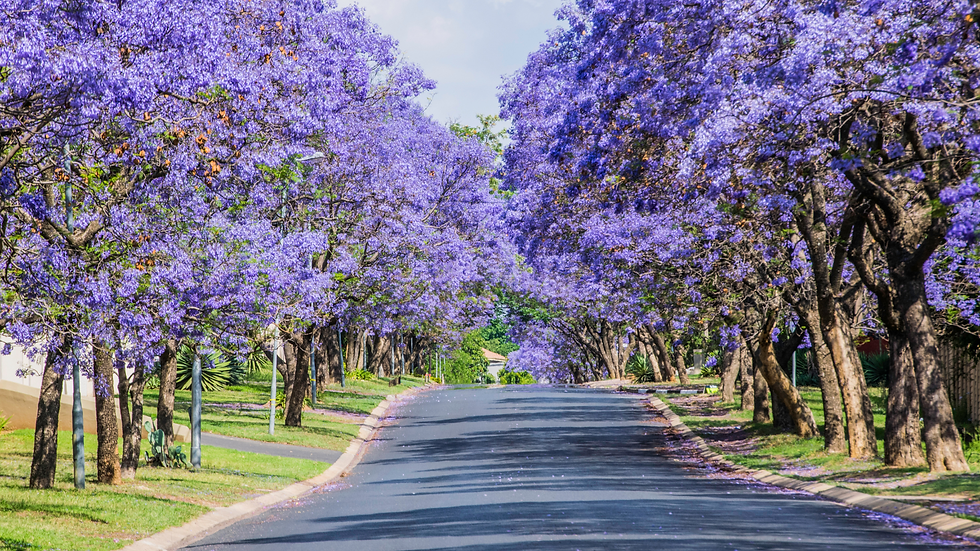 What Today’s Pretoria Property Buyers and Investors Want
