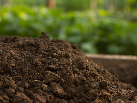 Winter Soil Care – Why Compost Still Matters Even When Grass Isn’t Growing