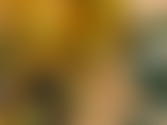 Selecting the Right Olive Oil: A Guide to Quality and Blends