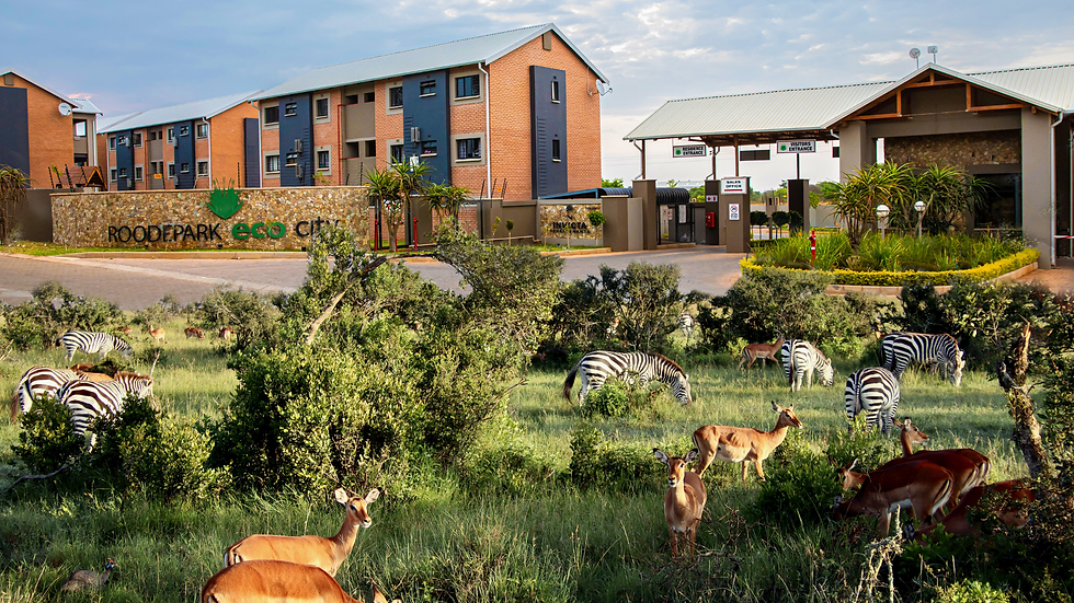 Why Roodepark Eco City 2 Is a Smart Investment in Pretoria North