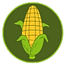 iconelabvert.png