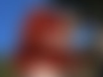 Japan - Mt Koya - det hellige stedet