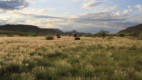 Namibia - Damaraland og hulemaleriene i Twyfelfontein