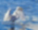 Kotuku bird watercolour art Elise De Silva Painting Egret Heron White Reflections realism