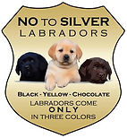 DiluteGrapghic-saynotosilver-seal.jpg