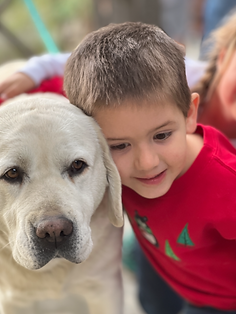 labs in action at ranch boy upclose with ella.png