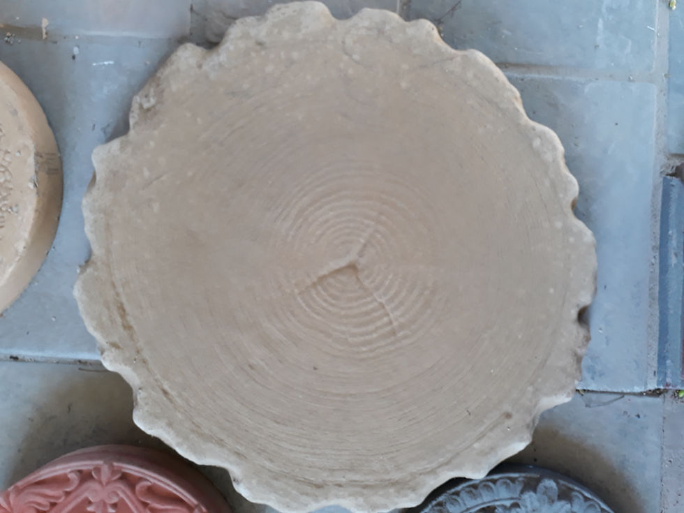 Big Tree Ring