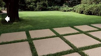 pave1