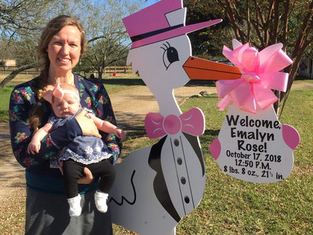 New Baby Yard Sign ~ College Station, TX