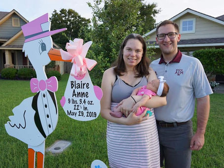 New Baby Stork Yard Sign ~Bryan, TX