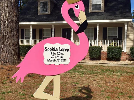 New Baby Yard Sign Rental ~ Bryan, TX