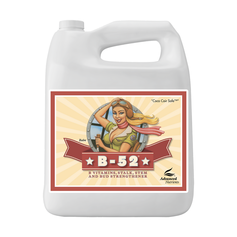 Advanced Nutrients B-52 1 Gal