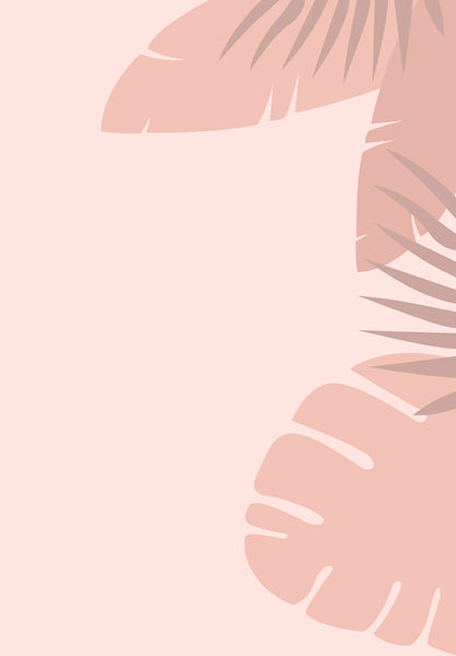 Monstera en palmbladeren