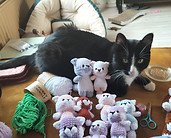 Kat Loki omringd door handgemaakte knuffels