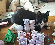 Cat Loki surrounded by cuddly toys