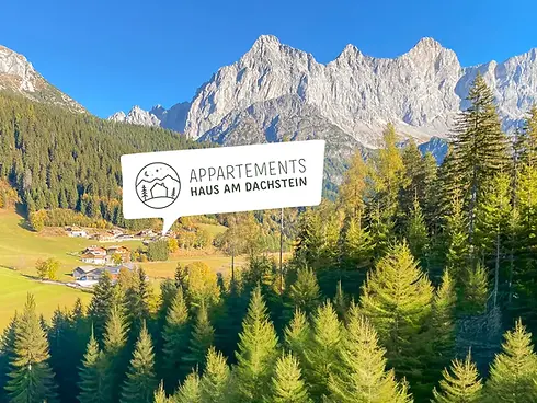 lage-appartements-am-dachstein-filzmoos-ramsau.webp