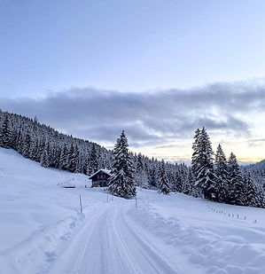 Hofalm Winterwandern in Filzmoos Bischofsmütze