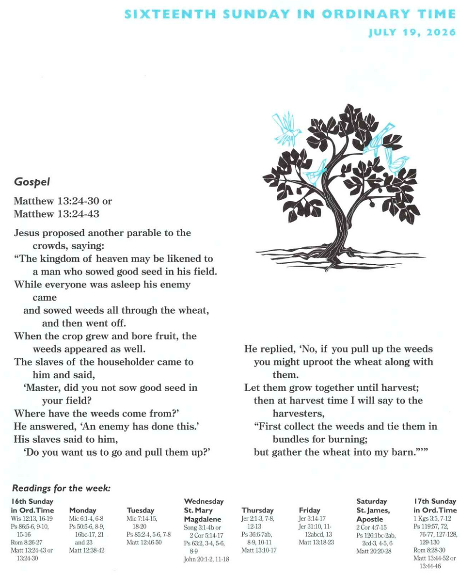 July 19,2026 Bulletin