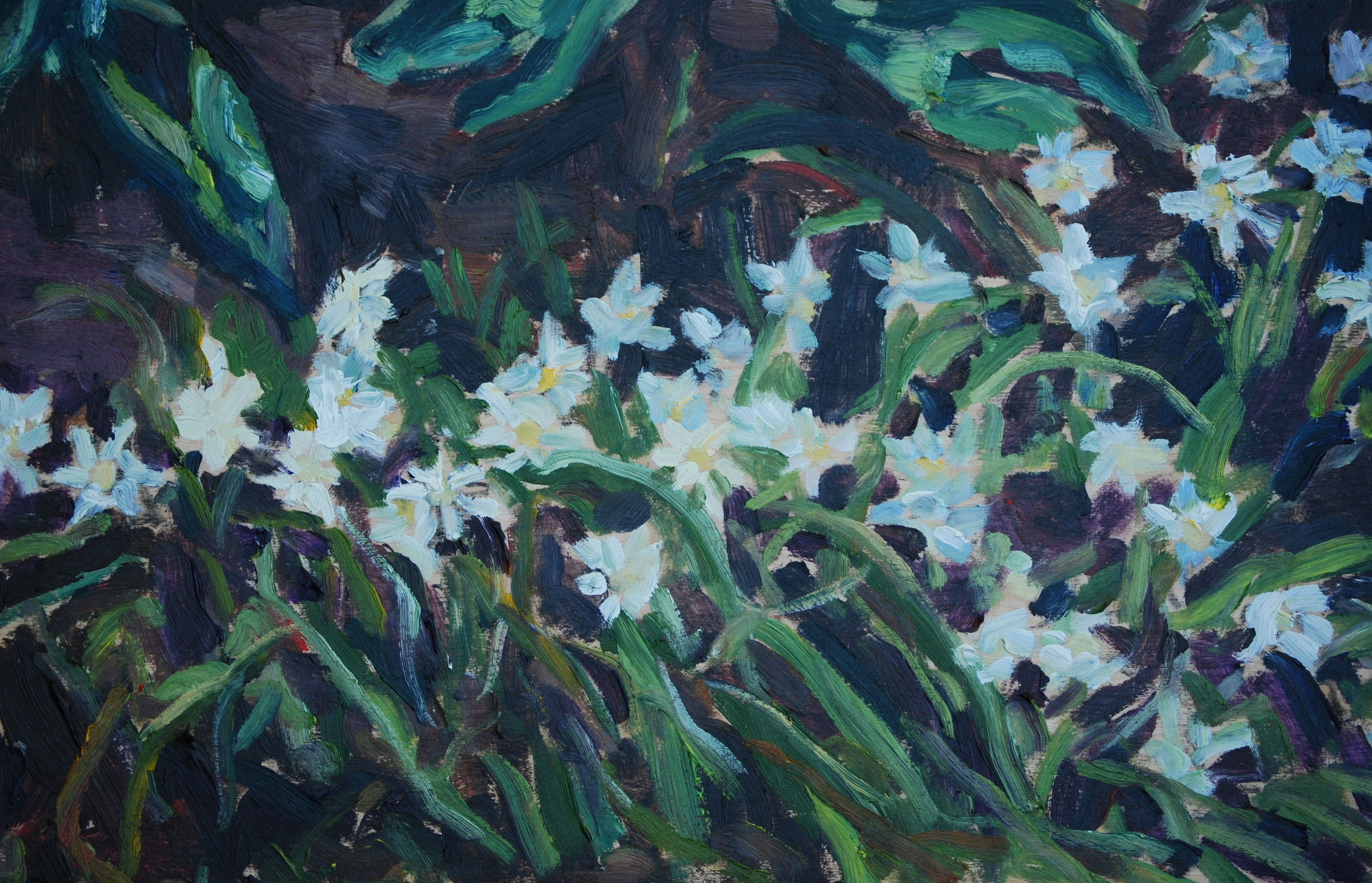 Little Whites, 2012
