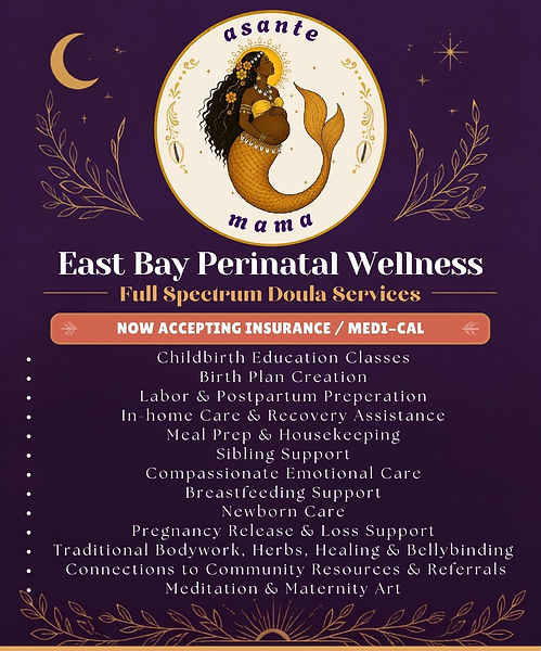 Bay Area Doula Care Flyer (1).jpg
