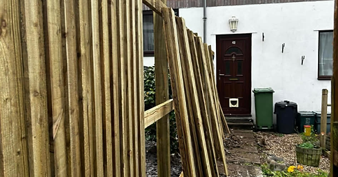 Untitled design (85).png