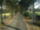 entrance to success.jpg