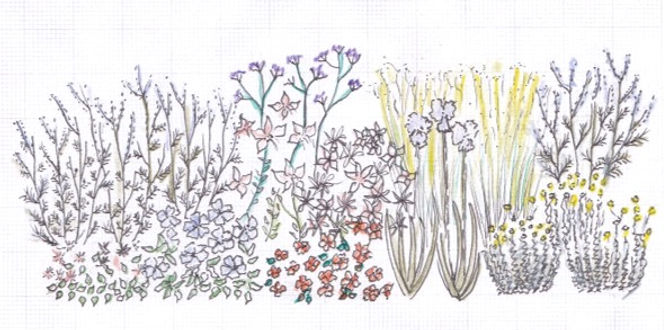 web 3 (2)_edited_edited.jpg