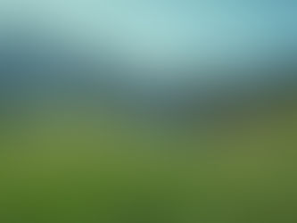 Ao vivo, diretamente da Capital: quanto vale a audiência da tragédia?