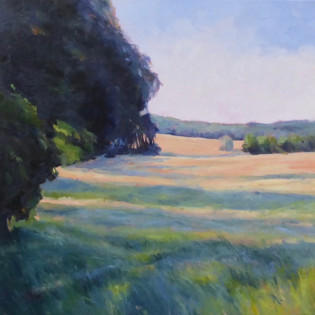 Prairie à Montgiscard