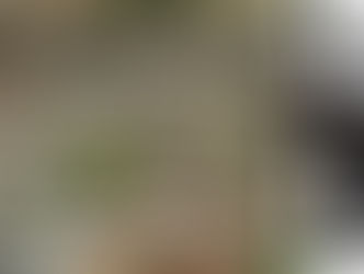 Será que há um novo "Escândalo do Cemitério" em Cataguases?