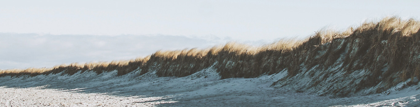 Shoreline