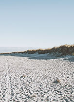 Dunes on the beach
