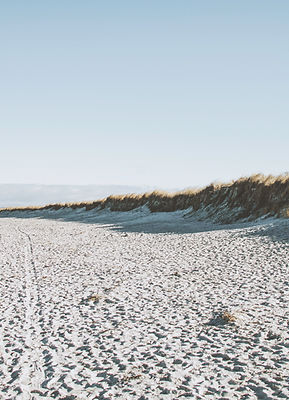 Shoreline