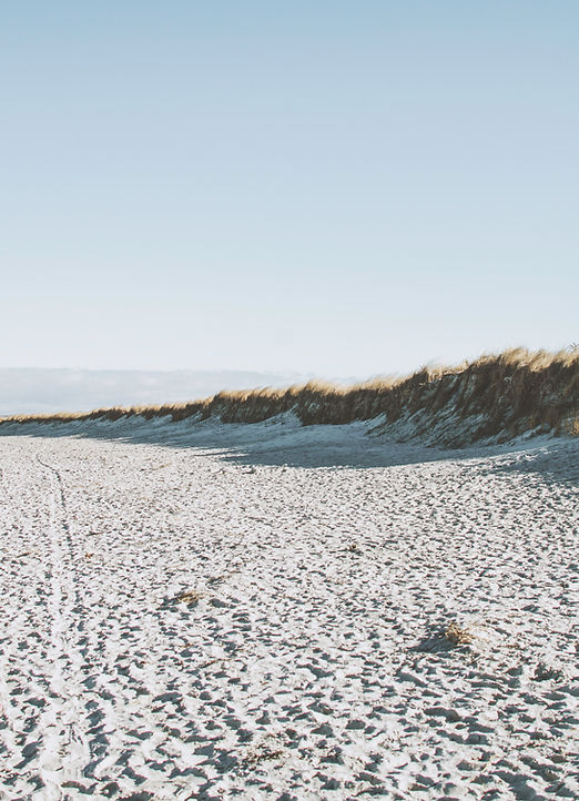Sandy Neck