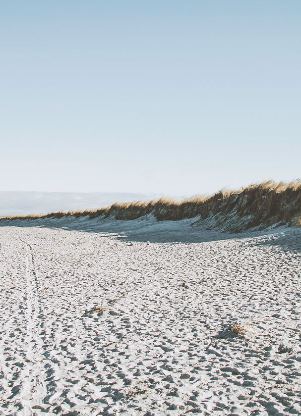 Shoreline
