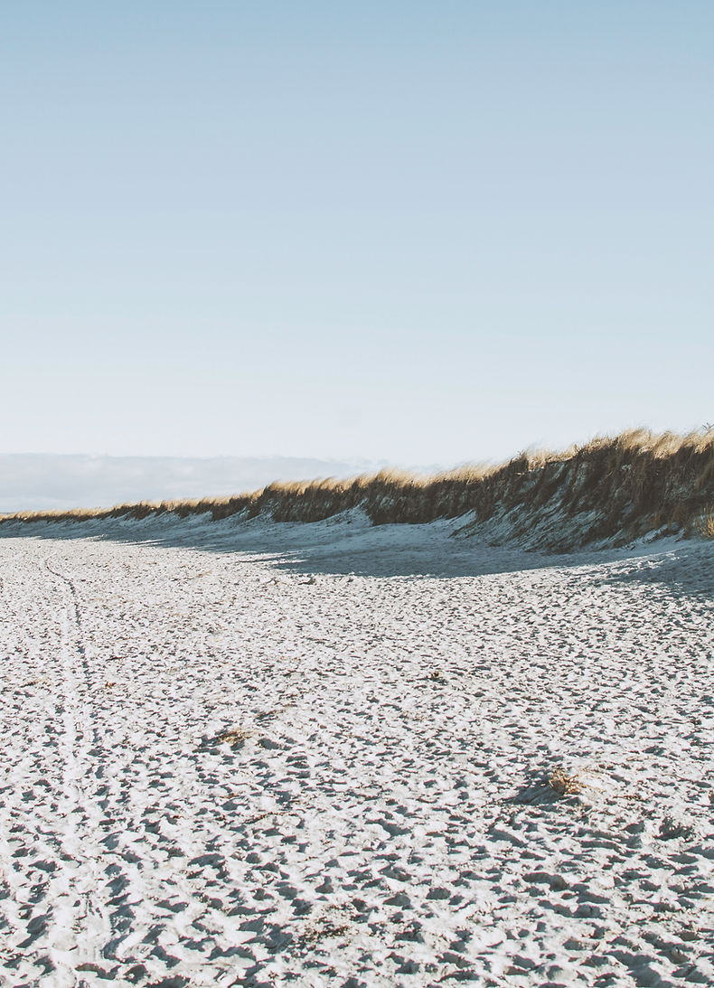 Shoreline