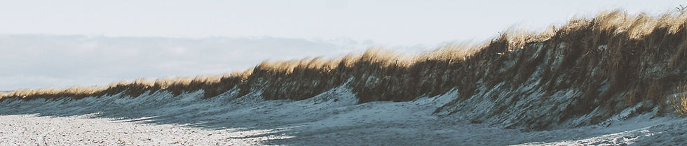 Shoreline
