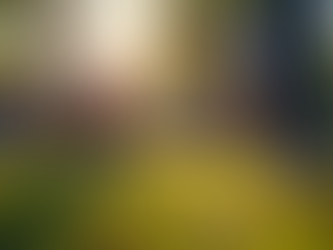 Building Stronger Communities through Freedom and Engagement