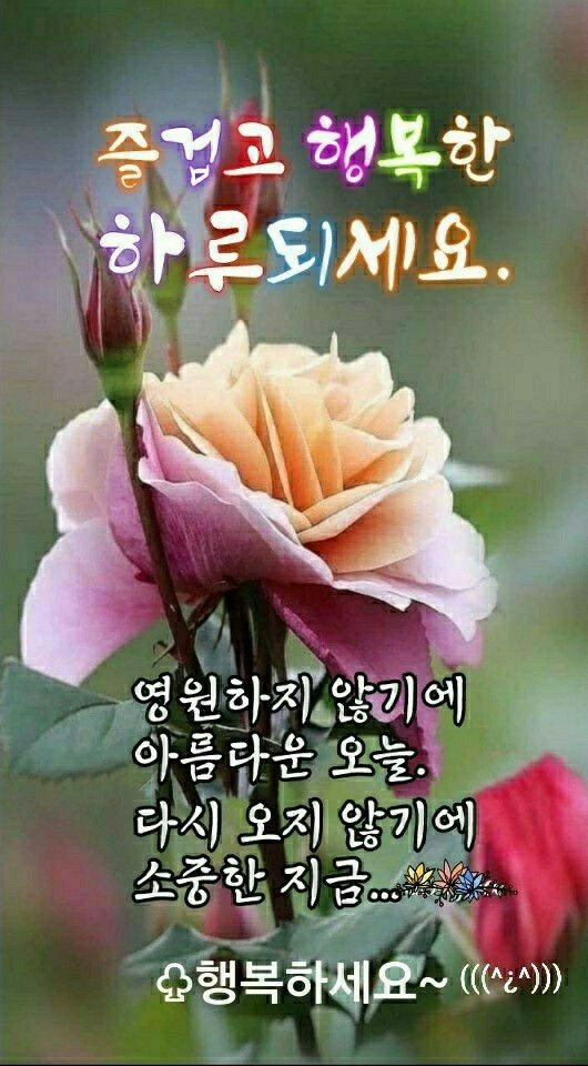 오늘도 즐거운 하루되세요 