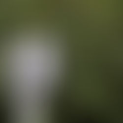 Frauen und Männer – die Gräben werden tiefer