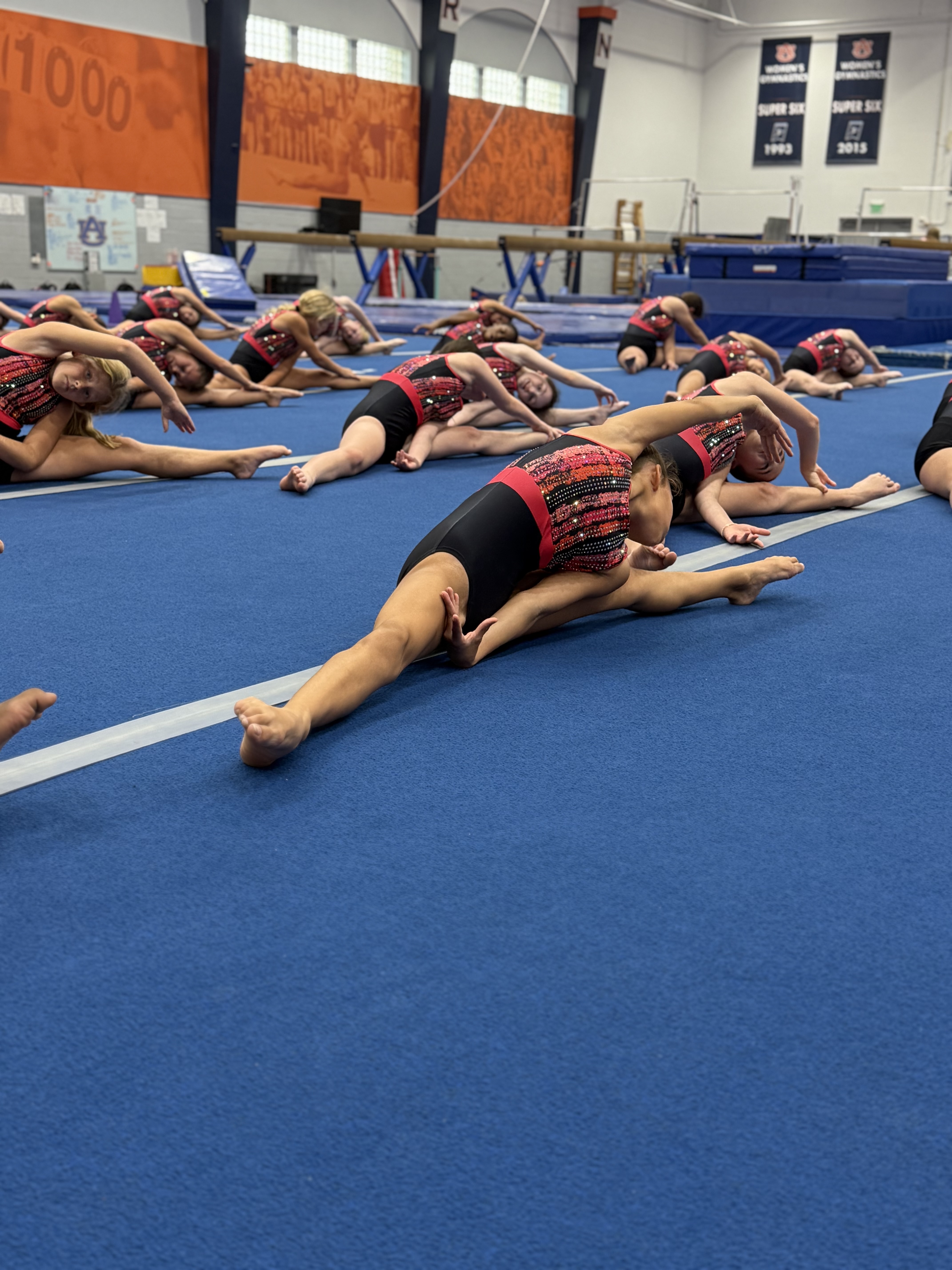 Auburn Gymnastics Academy