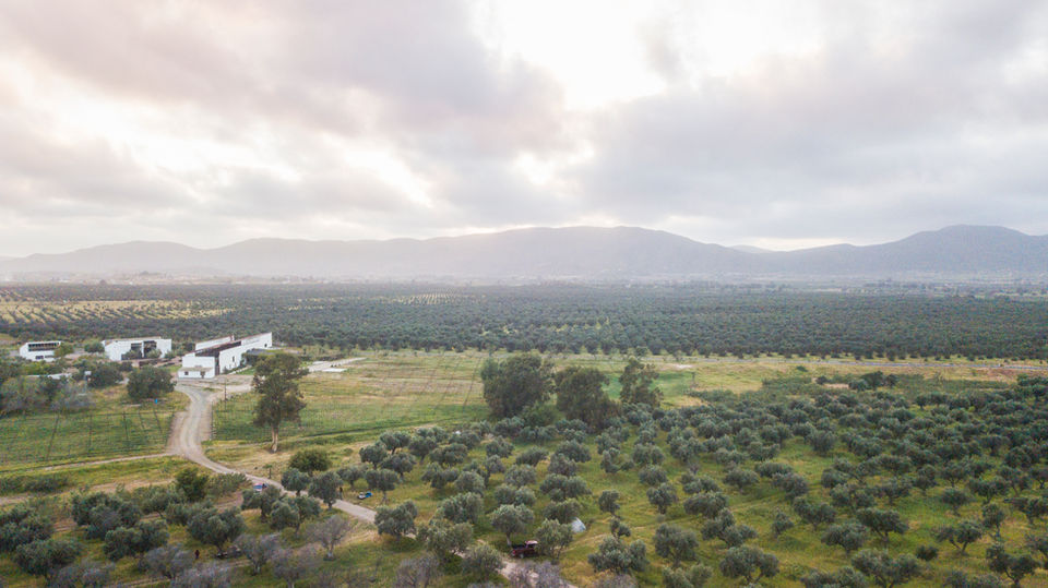 Valle de Guadalupe wedding venues