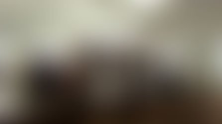 Ústí nad Labem slaví 140 let veslování na Labi