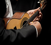 09. Cavaquinho_02 - shutterstock_6981828