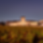Clos Haut-Peyraguey