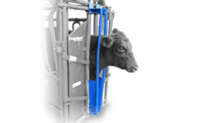 Headgate neck extender