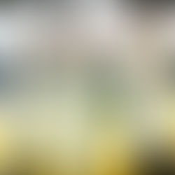 こっちが本命！TBS｢実験ジャパン｣出演のお知らせ