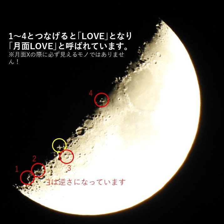 f12df3_e06d5225194947b4bac98eb